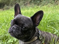 Carlos