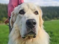 Barry